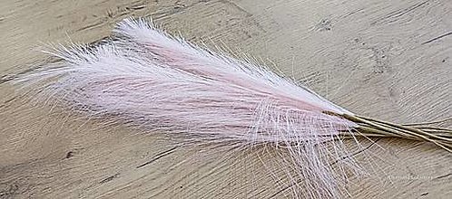 Suroviny - Dekoratívna Papmas umelá tráva  (Ružová) - 16422783_