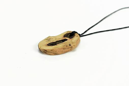 Náhrdelníky - Prívesok vinič - Vitis vinifera č.19 - 16423439_