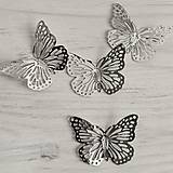 Polotovary - Motýľ strieborný - kovový komponent/5x3,5cm/ - 16424009_
