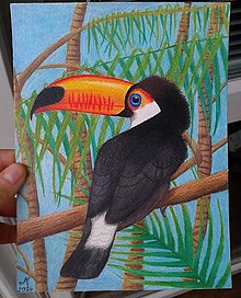 Kresby - Print tukan - v korunách palmy - 16421405_