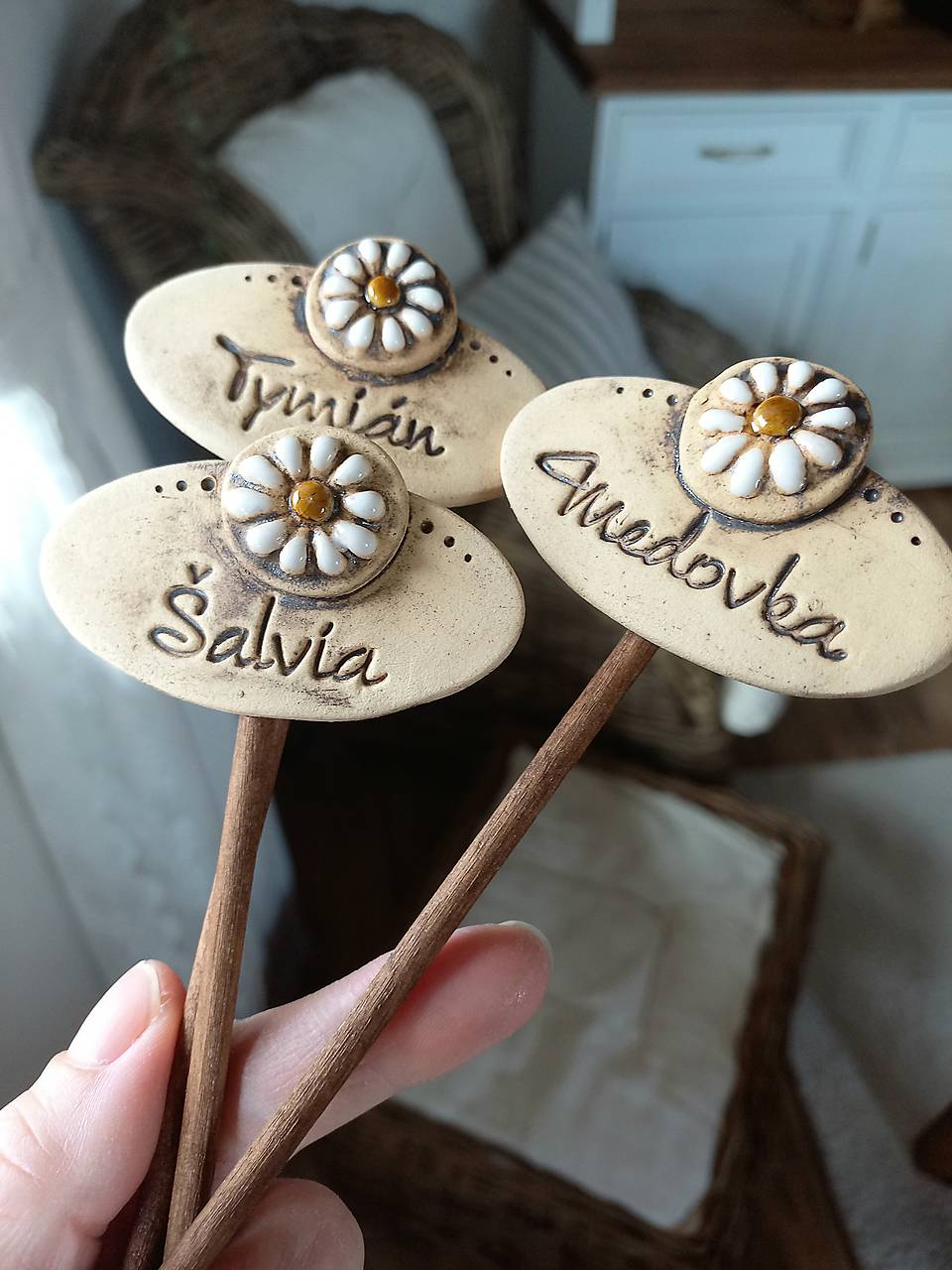 Bylinkový zápich s margarétkou