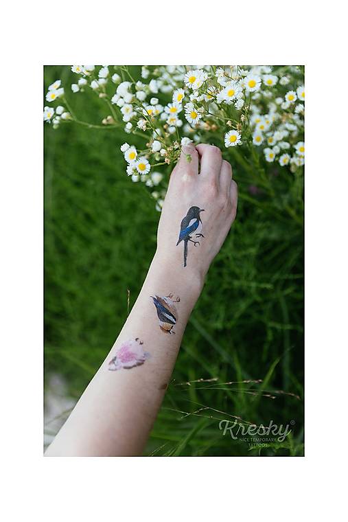 Dočasné tetovačky - Vtáky