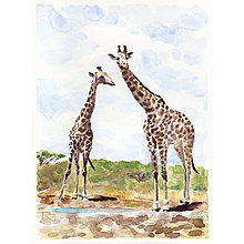 Obrazy - Žirafy - 16431286_