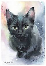Obrazy - Čierne mačiatko - originálny akvarelový obraz - 16438636_