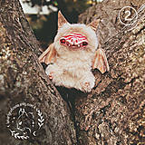 Hračky - Roztomilé hračky netopierov albínov | Autorské interiérové ​​umelecké bábiky (OOAK) | Darček pre kamarátku alebo dieťa - 16439681_