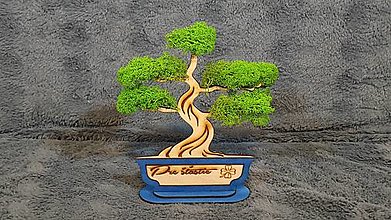 Dekorácie - Machový bonsaj - 16437987_