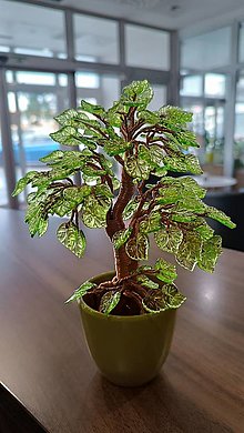 Dekorácie - Zelený bonsaj - 16449536_