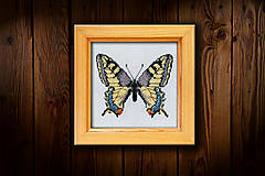 Dekorácie - Motýľ Vidlochvost II - 16451631_