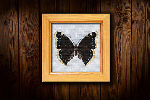 Motýľ Babôčka osiková
