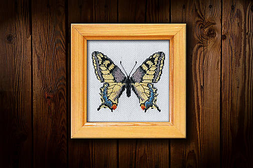 - Motýľ Vidlochvost II - 16451631_