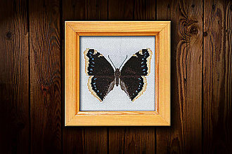 Dekorácie - Motýľ Babôčka osiková - 16451579_
