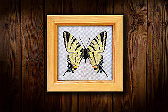 Dekorácie - Motýľ Vidlochvost I - 16451595_