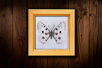 Dekorácie - Motýľ Okáň - 16451615_