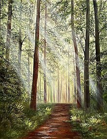 Obrazy - Na ceste v Čarovnom lese - 16453224_