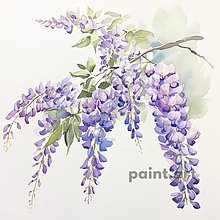 Grafika - Kvitnúca wistéria (č. 9) - 16459407_