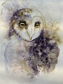 Obrazy - Oči sovy – akvarel, originál - 16463532_