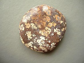 Minerály - Placka - jaspis leopardí 46 mm, č.375w - 16465962_