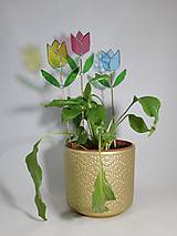 Dekorácie - sklenený tulipán - 16464618_