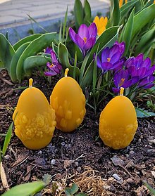 Sviečky - Veľkonočné vajíčko kvety 3 - tulipany - 16467858_
