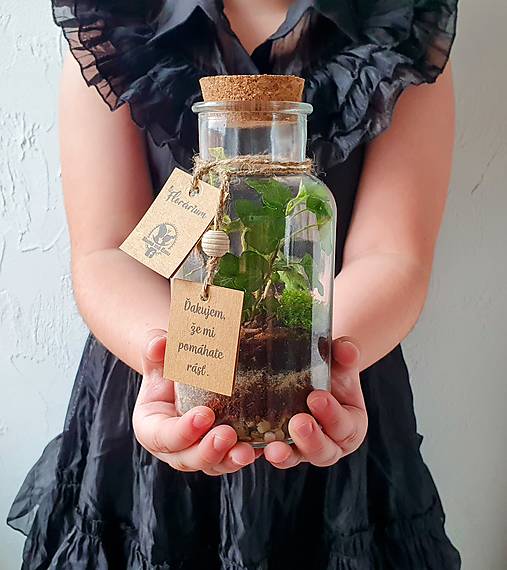 Dekorácie - Kvietok ku Dňu učiteľov - florárium, rastlinné terárium, biosféra. Len osobný odber BA, PN, TO, HC - 16466960_