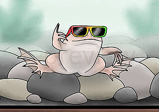 Kresby - Cool žabča (pazúrnatka vodná albín) - 16477131_
