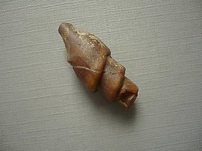 Minerály - Zkamenělá mušle 31 mm č.25f - 16480252_
