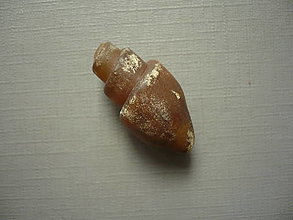 Minerály - Zkamenělá mušle 28 mm č.36f - 16480277_