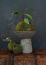 Dekorácie - Keramická váza na cibuľoviny - 16481347_
