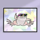 Grafika - Cool žabča poster (hviezdičky) (pazúrnatka vodná) - 16482629_