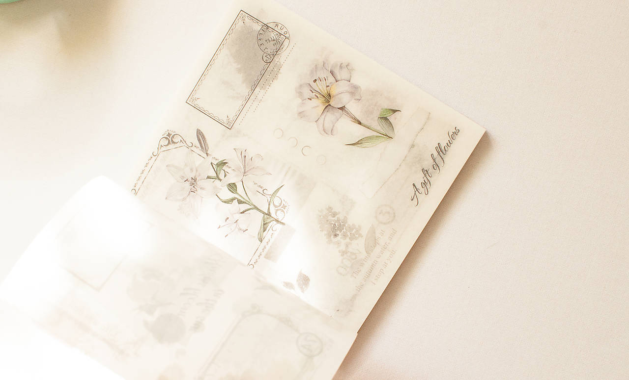 Nálepkový set - sticker book " Anemone grey"