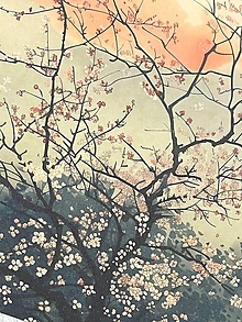 Grafika - Art print Sakury - západ slnka P0009 - 16504288_