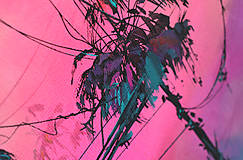 Obrazy - "Pink Thai" tlač. reprodukcia na plátne 45cm x 30cm - 16511516_