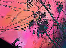 Obrazy - "Pink Thai" tlač. reprodukcia na plátne 45cm x 30cm - 16511517_