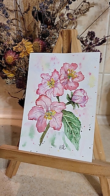 Papiernictvo - Maľovaná pohľadnica - Jabloňový kvet - 16515294_