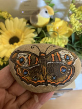 Dekorácie - Maľovaný kameň - Motýľ babôčka - 16517575_