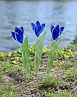 Modrý sklenený tulipán