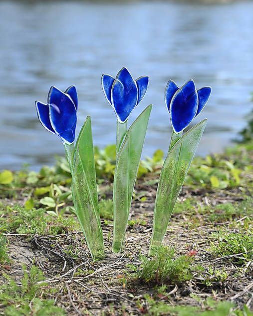 Modrý sklenený tulipán