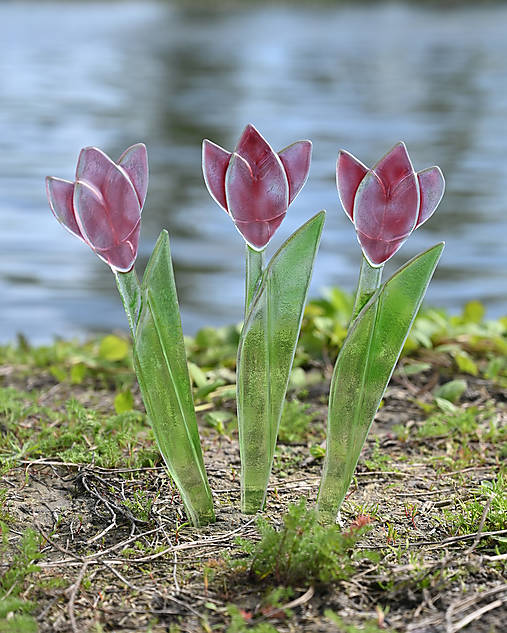 Ružový sklenený tulipán