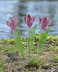 Dekorácie - Ružový sklenený tulipán - 16517257_