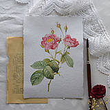 Obrazy - Ruže na ručnom papieri- set - 16517091_