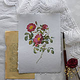 Obrazy - Ruže na ručnom papieri- set - 16517092_