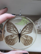 Náhrdelníky - motýľ a papraď - 16521735_