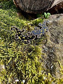 Náušnice - Drevené náušnice salamandra - 16520839_