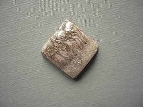 Minerály - Kabošon jaspisu leopard 16 mm, č.51Af - 16524831_