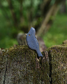 Dekorácie - Vtáčik modrej farby (papagáj) - 16527154_