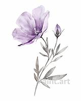 Grafika - Akvarelové kvety (č.111-115) - 16525739_