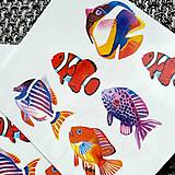 Tetovačky - Dočasné tetovačky morské ryby T0008 - 16526273_