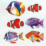 Tetovačky - Dočasné tetovačky morské ryby T0008 - 16526275_
