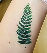 Tetovačky - Dočasné tetovačky paprade T0007 - 16526335_