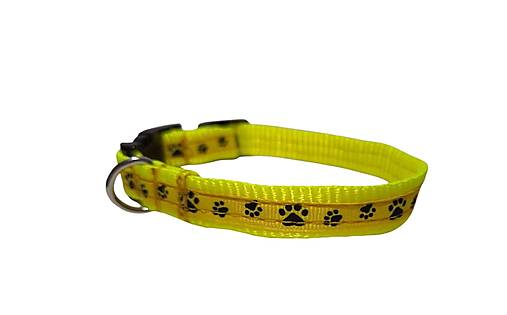 Pre zvieratá - Obojok Dinofashion žlutý Labky - 16529718_